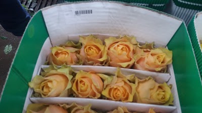 Photos of Rosas De Mulalo Mulrosas