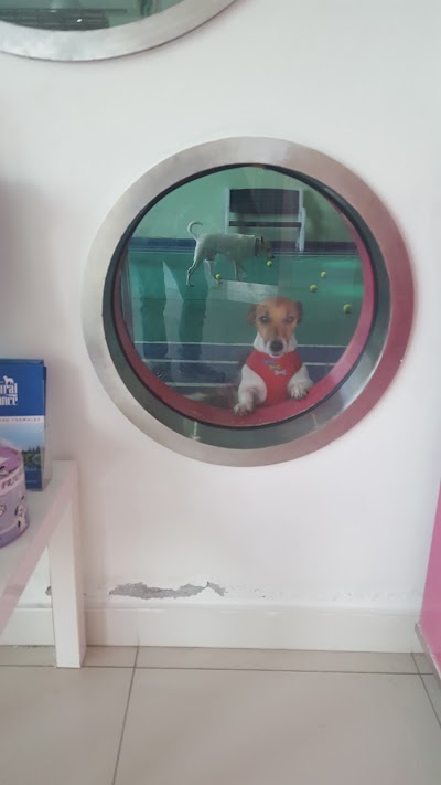 Photos of SHAMPOOCH Pet Grooming