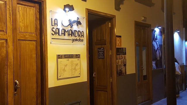 La Salamandra