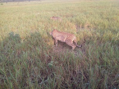 Photos of Mkuze Falls Game Lodge