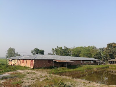 Photos of KP Marketing Company LTD