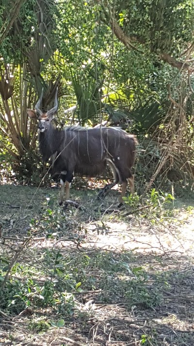 Photos of Lalapanzi Camp at Bonamanzi Game Reserve