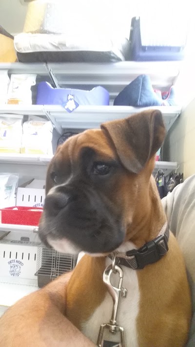 Photos of Warrnambool Veterinary Clinic