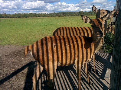 zoo