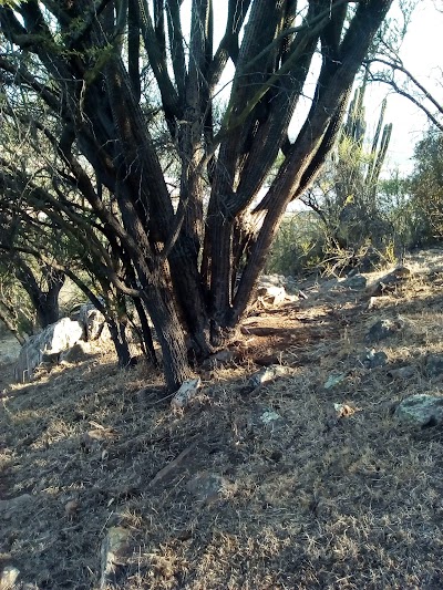 Photos of Parcelaci&oacute;n Valle Los Leones