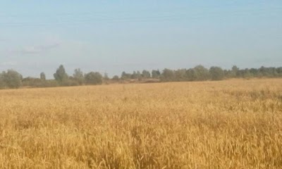 Photos of Витаем Вас