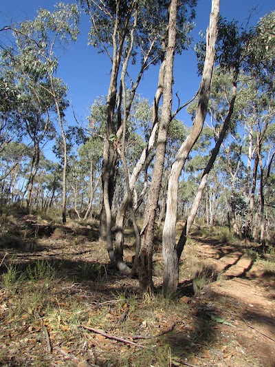 Photos of Paddys Ranges State Park