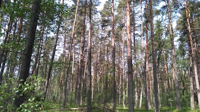 Photos of Kauksi looduskeskus-teabepunkt