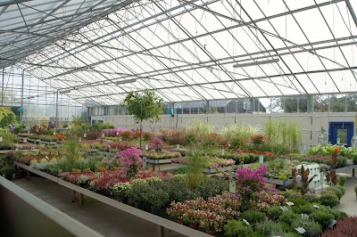 Photos of Hove Plantesalg