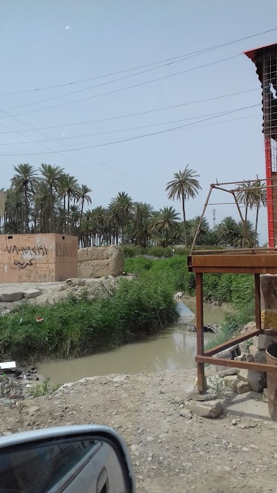 Photos of مطعم النخيل السياحي