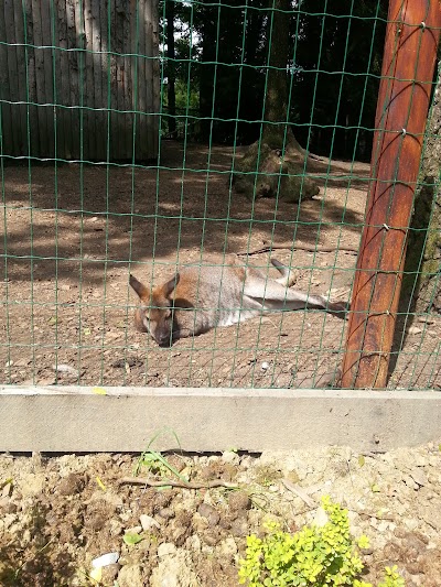 Photos of Cr&ecirc;te des Cerfs