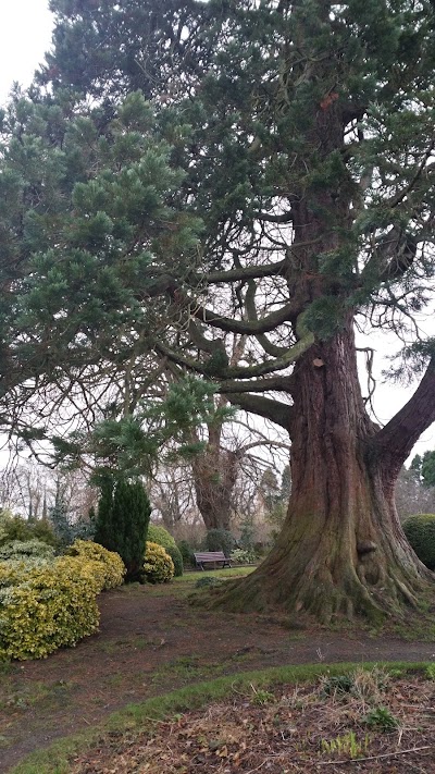 Photos of St. Patrick's College