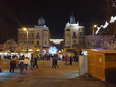 Photos of Debrecen Municipality Office ( "Old City Hall")