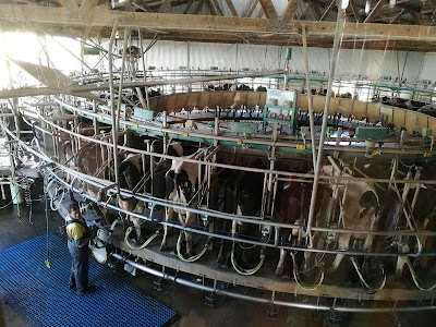 Photos of Caldermeade Farm & Cafe