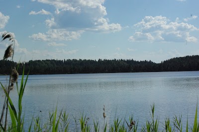 Photos of Kirikum&auml;e metsaonn