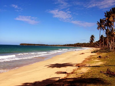 Photos of Otro Mundo, Guaco,