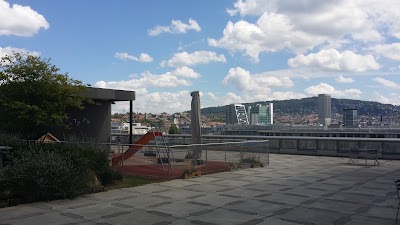 Photos of Toni-Areal