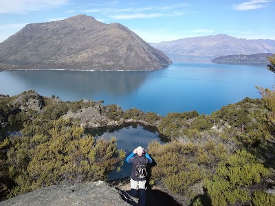 Photos of Fish & Cruise Wanaka ltd