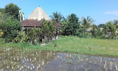 Photos of Wapa Di Ume Resort and Spa