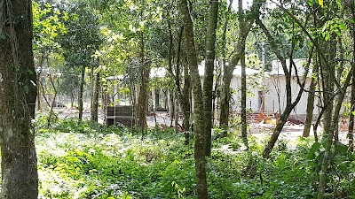 Photos of Eco Lodge Esperanza Misiones Argentina