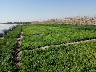 Photos of Jabal Sanam