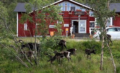 Photos of Kilpisj&auml;rvi Hikingcenter