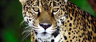 Photos of Great Waters Tourism