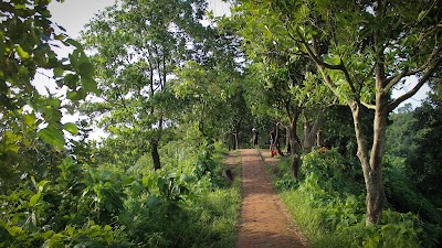 Photos of Himchori View Point