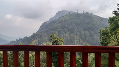 Photos of Blue Ribbon Homestay