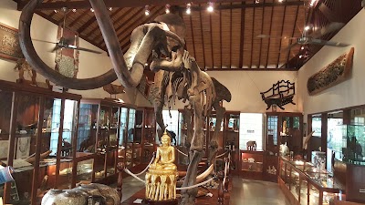 Photos of Elephant Safari Park Lodge Bali