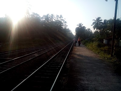 Photos of Kosgoda