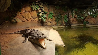 Photos of Tropicario - Trooppinen El&auml;intalo