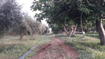 Photos of ملعب المنيرا