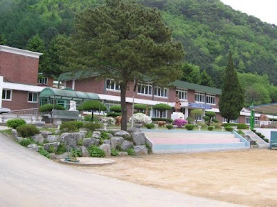 Photos of 모곡초등학교