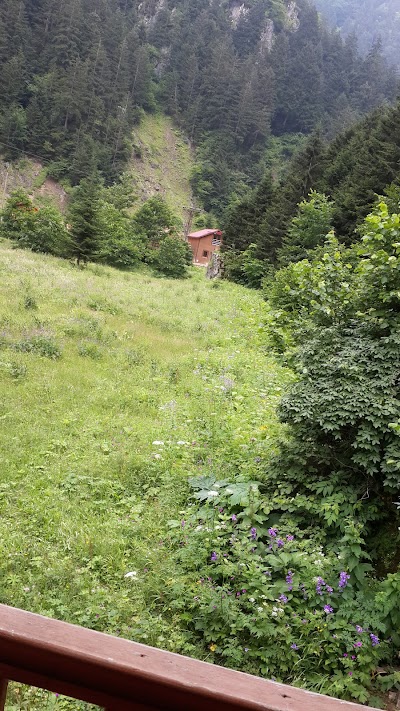 Photos of uzung&ouml;l beyzamotel ve bungalow