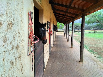 Photos of Pakamisa Lodge