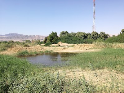 Photos of Aqaba Bird Observatory