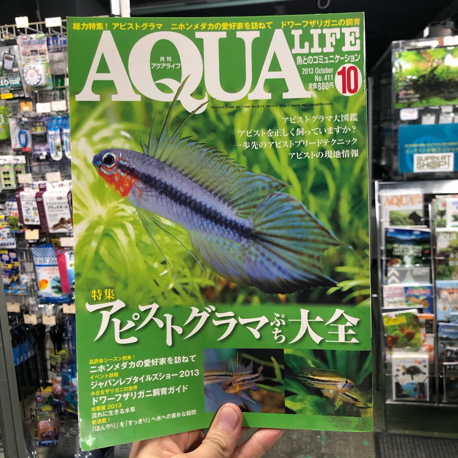 アクアテイク ｅ ブログ アクアライフのバックナンバーを1冊100円 税込 で販売いたします