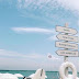 Surfboard Luxury Wallpaper for iPhone and Android
