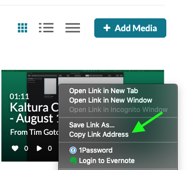 Screenshot of the popup menu that shows when you right click the media with the Copy Link Address option highlighted.