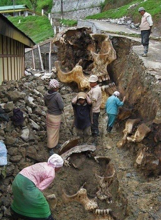 GIGANTES QUE HABITARON LA TIERRA, hijos de angeles.jpg