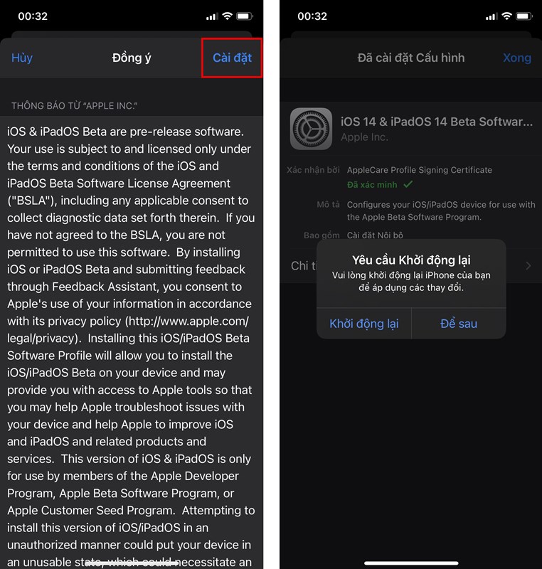 Tôi có cần cập nhật lên iOS 14.6 Beta 3 hay không?