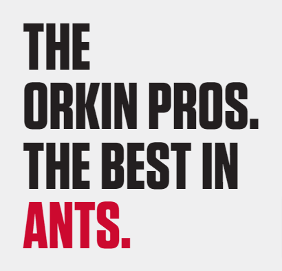 Orkin —  The Orkin pros. The best in…