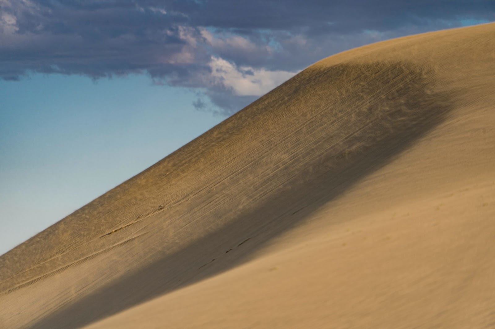 Oregon sand dunes