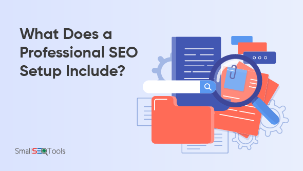 Professional SEO Setup Include