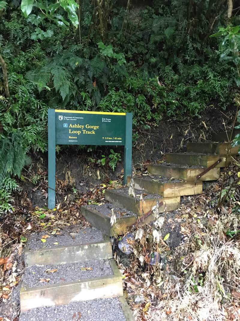 Ashley Gorge Loop track Hike - Oxford, Canterbury Region, New Zealand |  Pacer