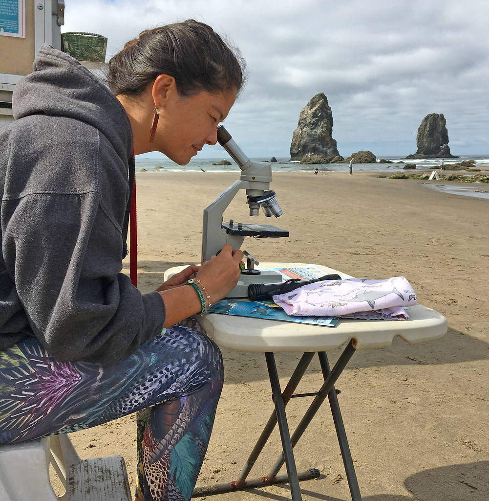 A young girl uses a microscope to inspect slides right on a sandy beach. She looks like a high school student participating in an on-site STEM internship for high school students interested in marine biology.