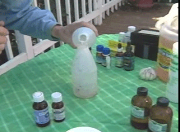 How to Make Fly Spray