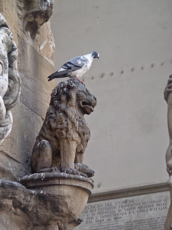 Круиз Azamara Quest, апрель 2014: удивительный кайфой круиз удивительных встреч форумчан