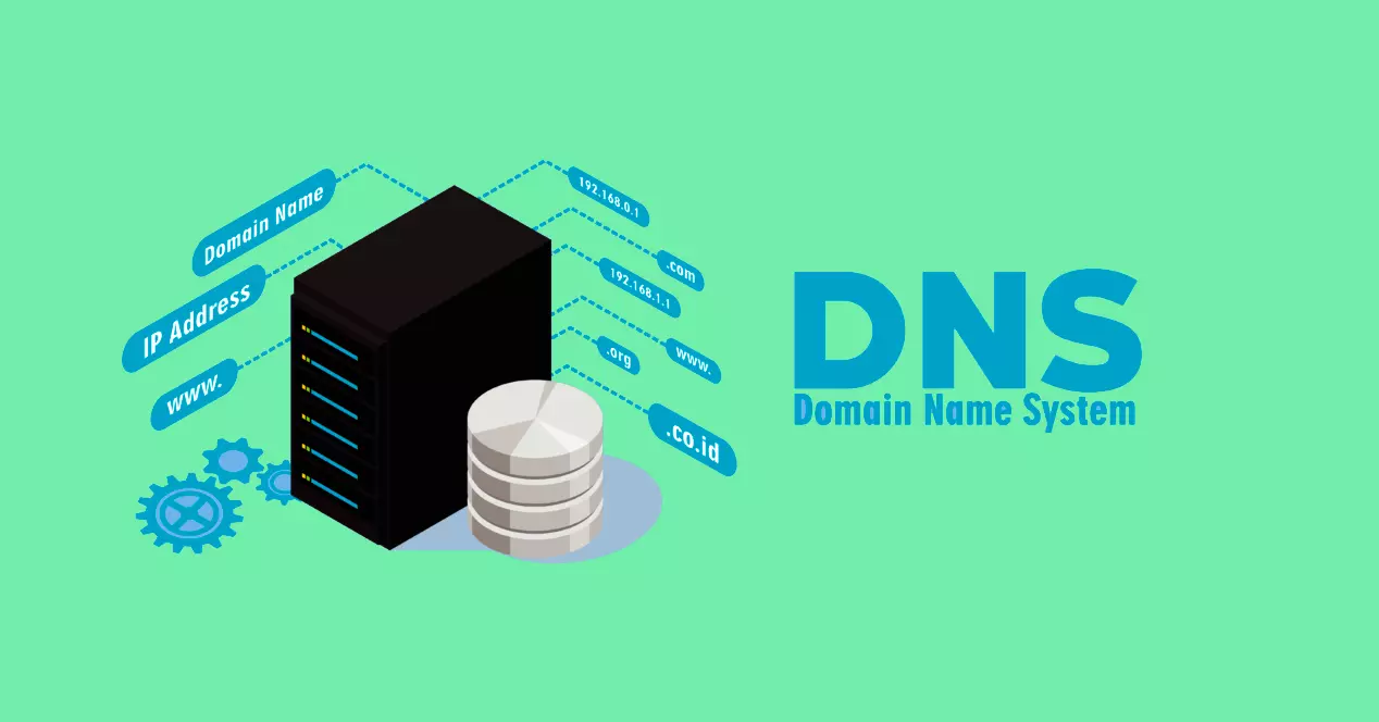 illustration of a server showing what DNS means